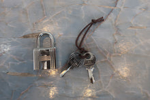 将图片加载到图库查看器,HERMES PICOTIN LOCK ECLAT PM Clemence leather/Swift leather Gold/Nata Y刻印 Hand bag 800030189