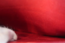 画像をギャラリービューアに読み込む, CHANEL/シャネル 2.55チェーンショルダーバッグ ラムスキン レッド/ネイビー/ゴールド金具 ショルダーバッグ 800010020