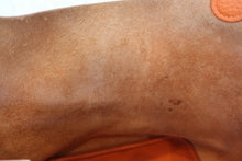 画像をギャラリービューアに読み込む, HERMES/エルメス ピコタンロックMM トリヨンクレマンス オレンジ ハンドバッグ 700080065