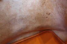 画像をギャラリービューアに読み込む, HERMES/エルメス ピコタンロックMM トリヨンクレマンス オレンジ ハンドバッグ 700080065