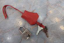 将图片加载到图库查看器,HERMES BIRKIN 25 Swift leather Sanguine □R刻印 Hand bag 800050107