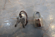 Load image into Gallery viewer, HERMES PICOTIN LOCK PM Clemence leather Vert comics U Engraving Hand bag 700100197