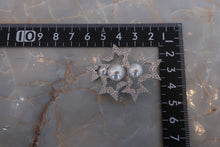 將圖片載入圖庫檢視器 SWAROVSKI/スワロフスキー スターパールブローチ 銀メッキ シルバー ブローチ 300100152