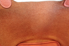 画像をギャラリービューアに読み込む, HERMES/エルメス ピコタンロックPM トリヨンクレマンス クレヴェット □Q刻印 ハンドバッグ 700110001