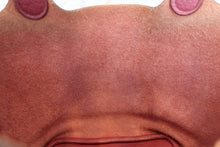 Load image into Gallery viewer, HERMES PICOTIN LOCK PM Clemence leather Bois de rose □O Engraving Hand bag 700040211