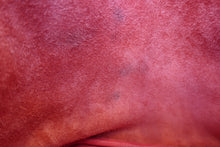 将图片加载到图库查看器,HERMES PICOTIN LOCK MM Clemence leather Rose extreme D刻印 Hand bag 8000101664