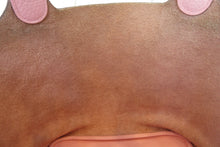 Load image into Gallery viewer, HERMES PICOTIN LOCK MM Clemence leather Rose sakura T Engraving Hand bag 700070209