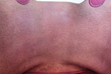 画像をギャラリービューアに読み込む, HERMES/エルメス ピコタンロックPM トリヨンクレマンス トスカ □P刻印 ハンドバッグ 800010155