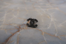 將圖片載入圖庫檢視器 CHANEL/シャネル ココマークピアス 銀メッキ シルバー ピアス 500010022