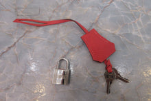 Load image into Gallery viewer, HERMES BIRKIN 25 Togo leather Bougainvillier Hand bag 700050035
