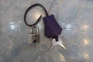 HERMES／エルメス バーキン25 ヴォースイフト ウルトラバイオレット □N刻印 ハンドバッグ 700040060