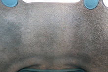 将图片加载到图库查看器，HERMES PICOTIN LOCK PM Clemence leather Blue atoll T刻印 Hand bag 700120237
