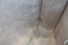 画像をギャラリービューアに読み込む, HERMES／エルメス エブリン1GM トリヨンクレマンス ベージュ □F刻印 ショルダーバッグ 800010007
