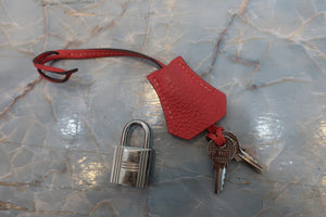 HERMES／エルメス バーキン25 トゴ ルージュピヴォワンヌ T刻印 ハンドバッグ 700080122