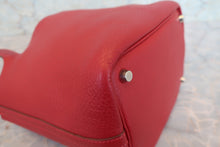 Load image into Gallery viewer, HERMES PICOTIN PM Clemence leather Rouge garance Hand bag 700090191
