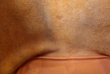 將圖片載入圖庫檢視器 HERMES／エルメス ピコタンＭＭ トリヨンクレマンス オレンジ □M刻印 ハンドバッグ 700110048
