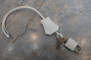 HERMES／エルメス バーキン35 トリヨンクレマンス ホワイト/マットシルバー金具 □E刻印 ハンドバッグ 700020194